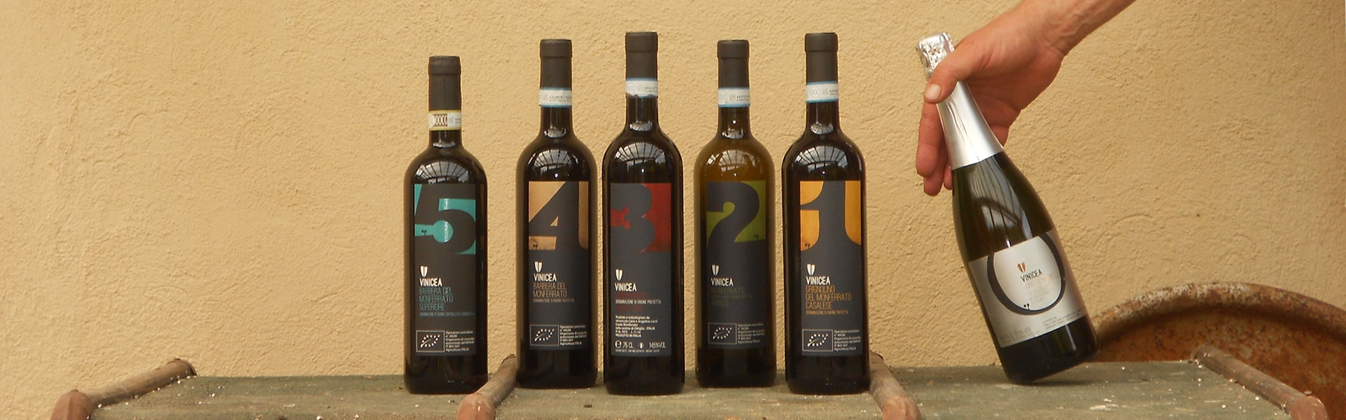 Produzione Vino - Casale Monferrato (AL)