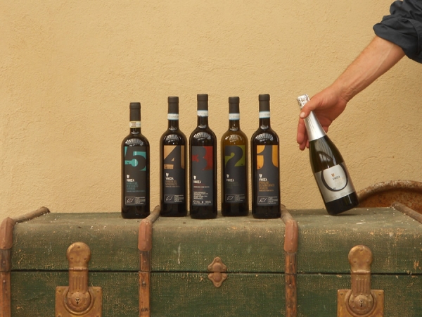 Vinicea | Produzione Vini a Ottiglio (AL)